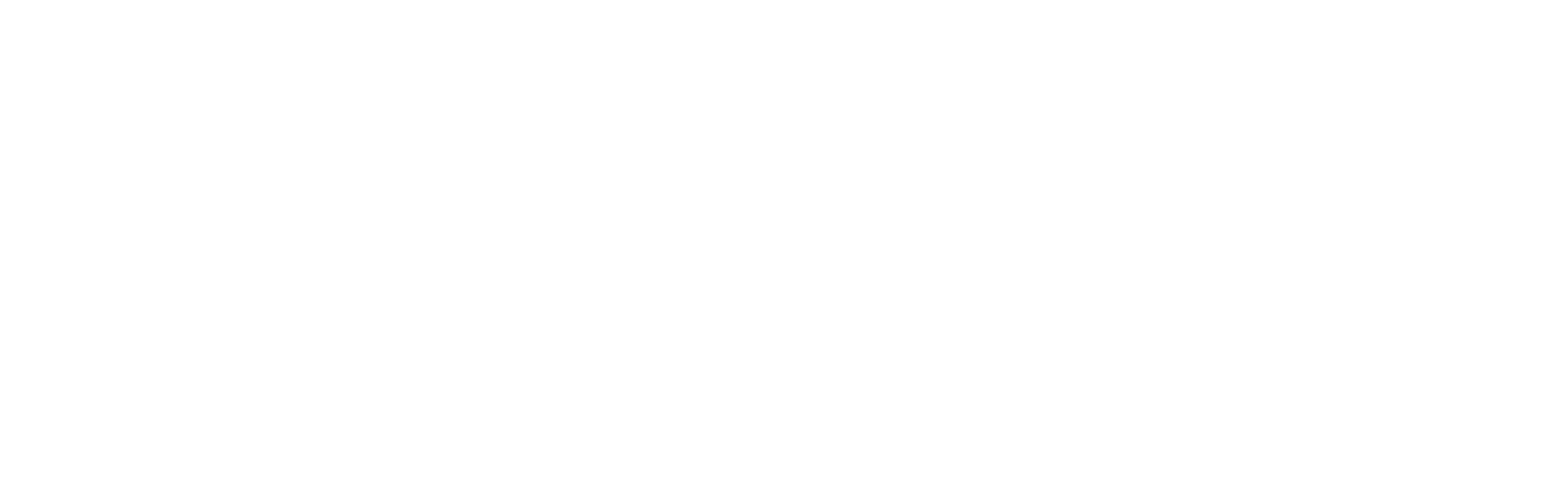 Zisyss